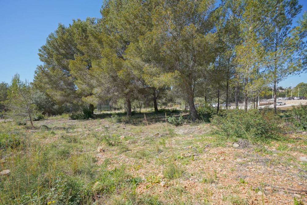 Land in Javea — image 2