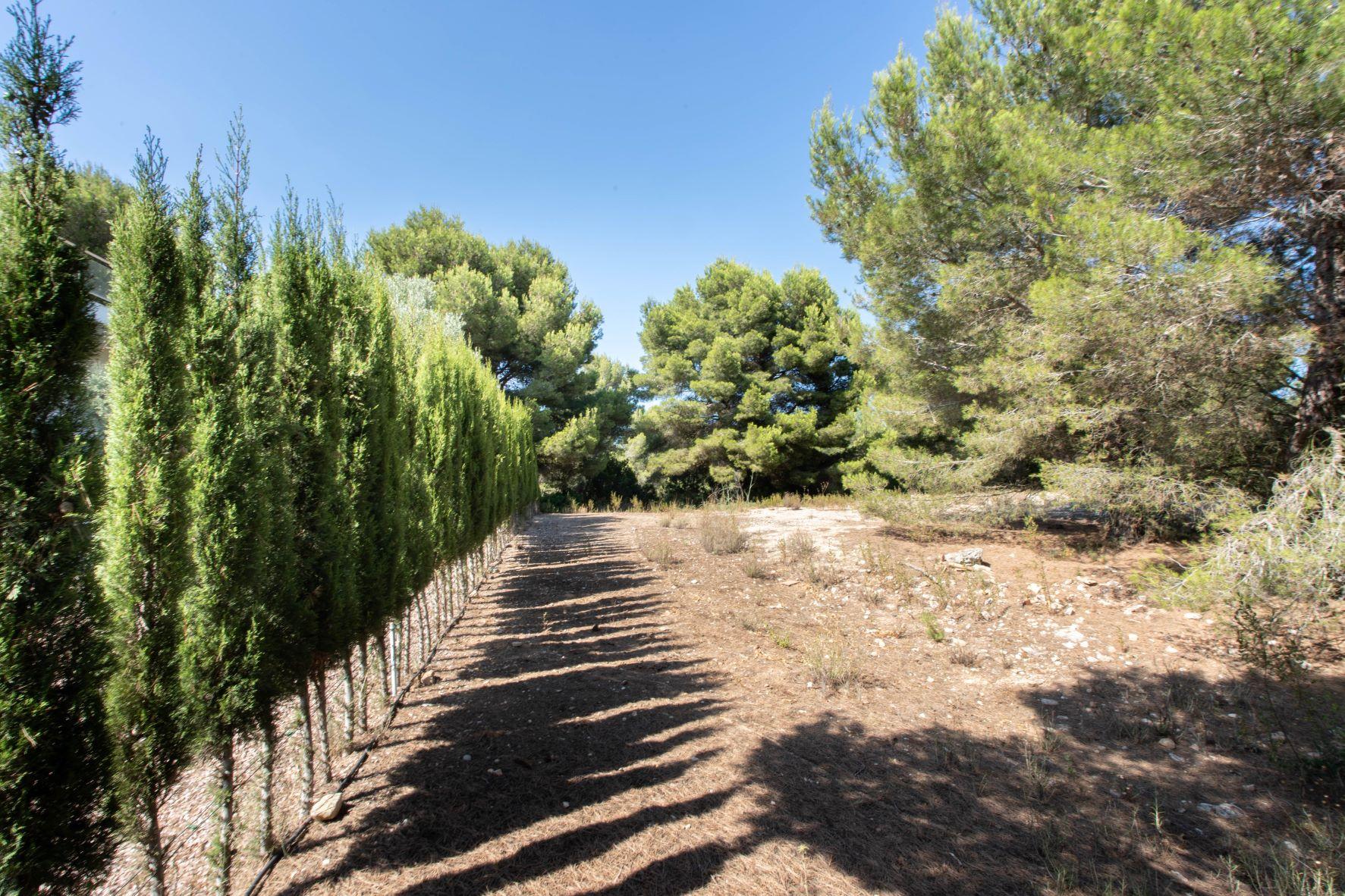 Land in Javea — image 2