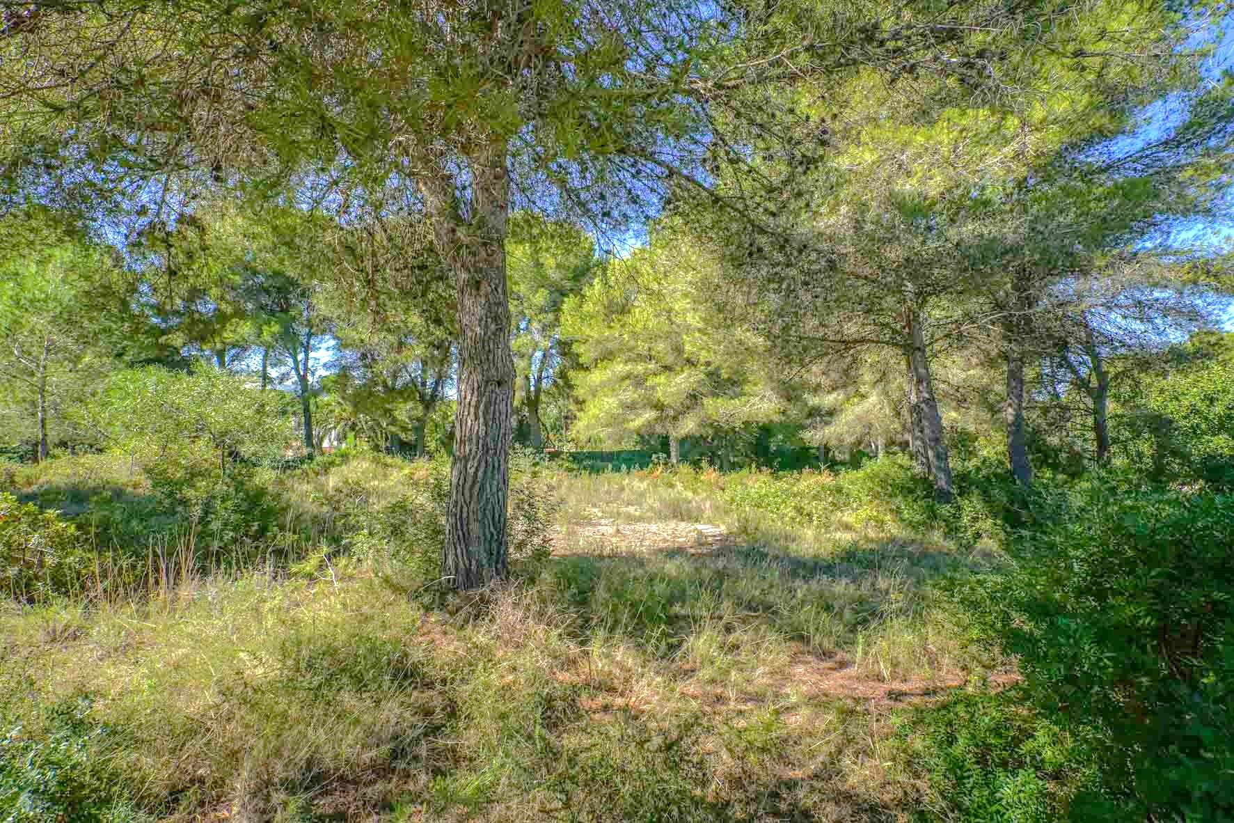 Land in Javea — image 2