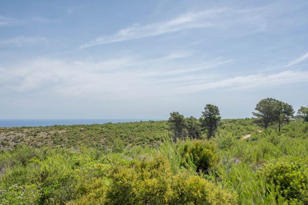 Land in Javea — image 1