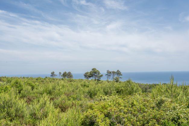 Land in Javea — image 2