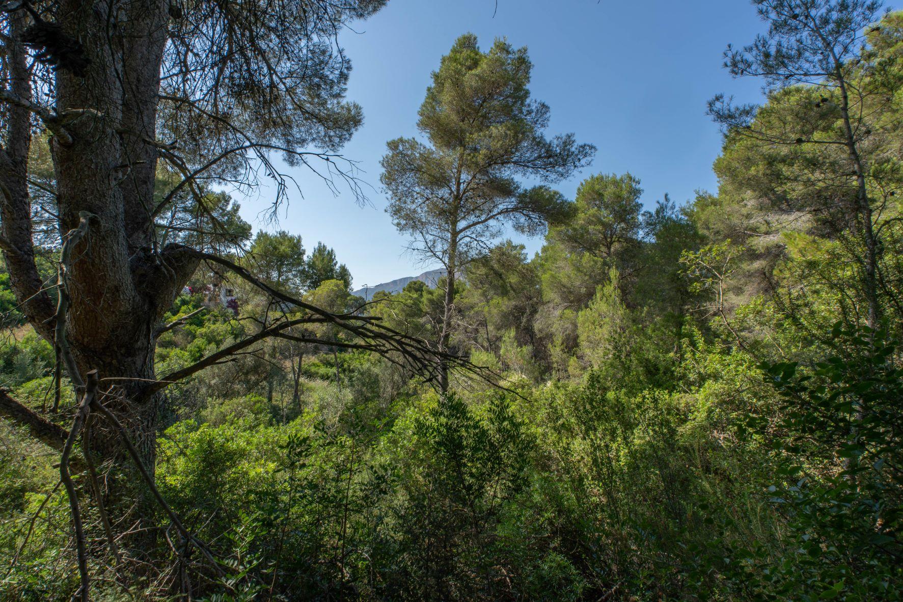 Land in Javea — image 3