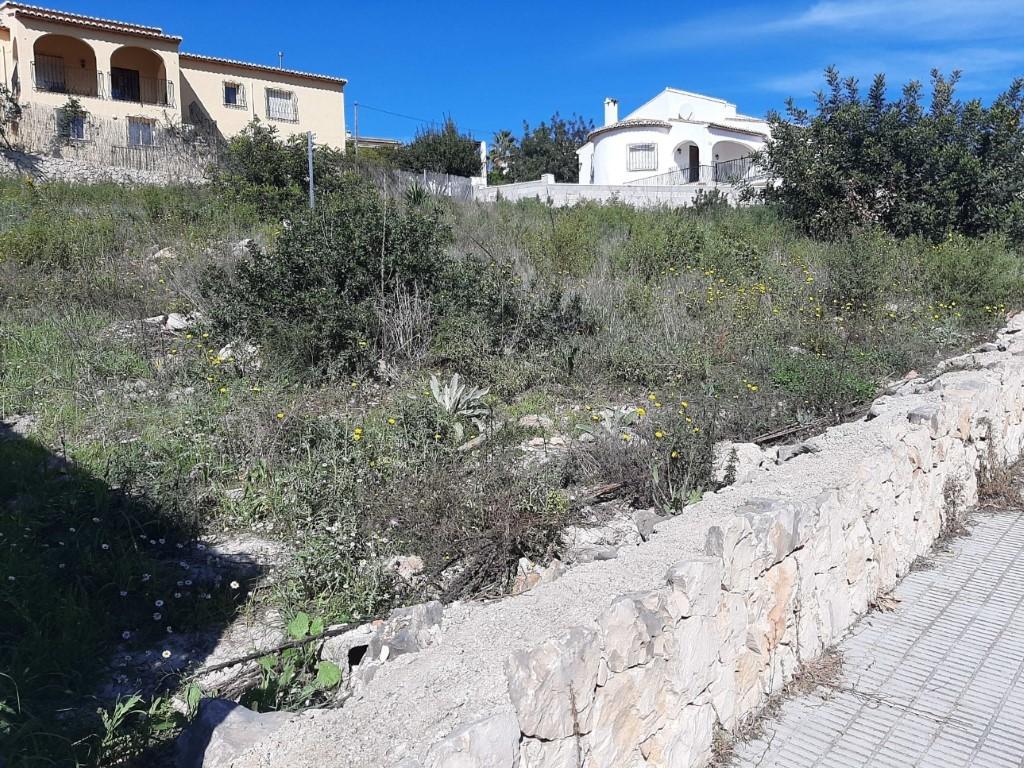 Villa in Alcalali — image 3