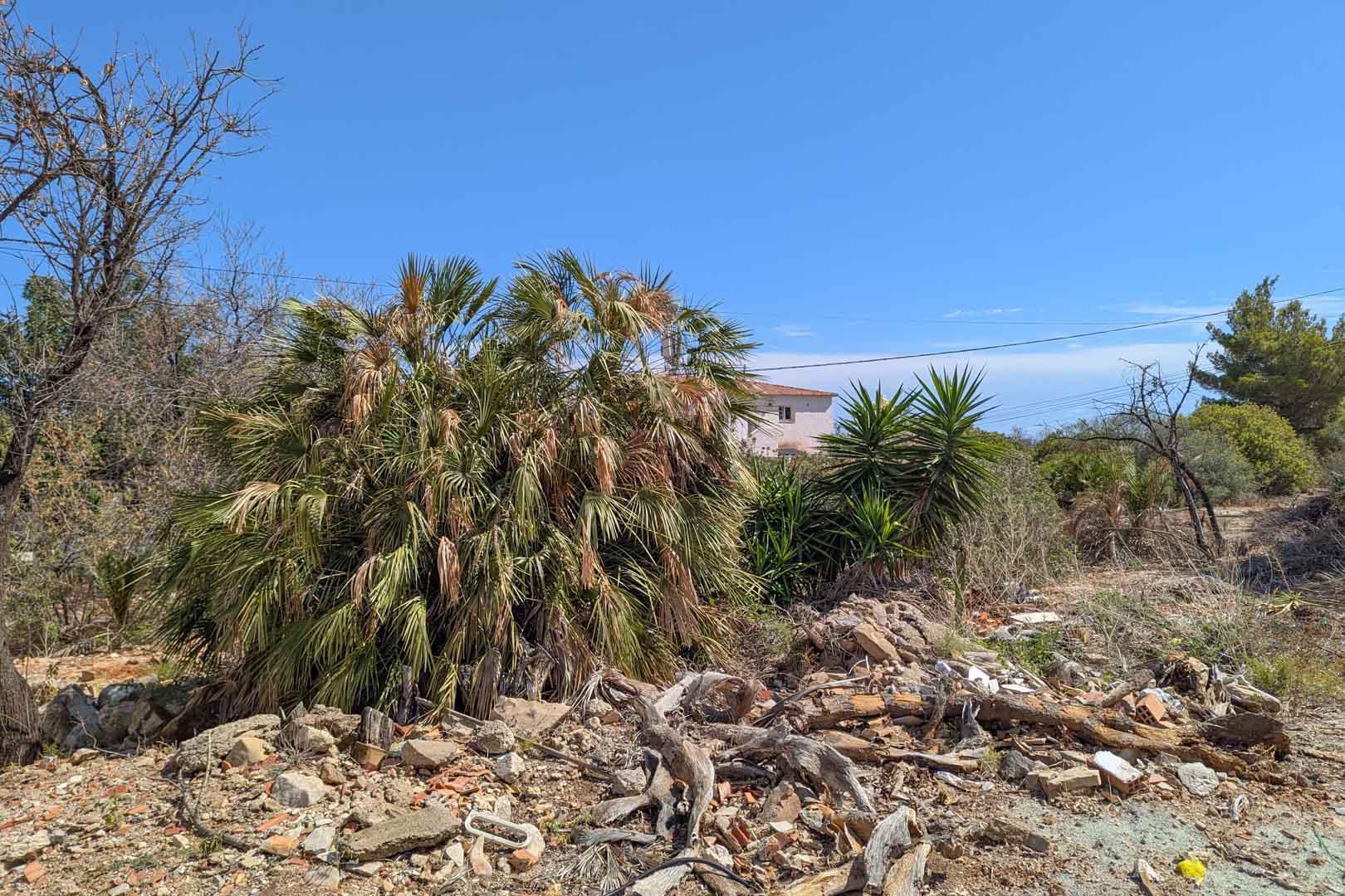 Land in Denia — image 1