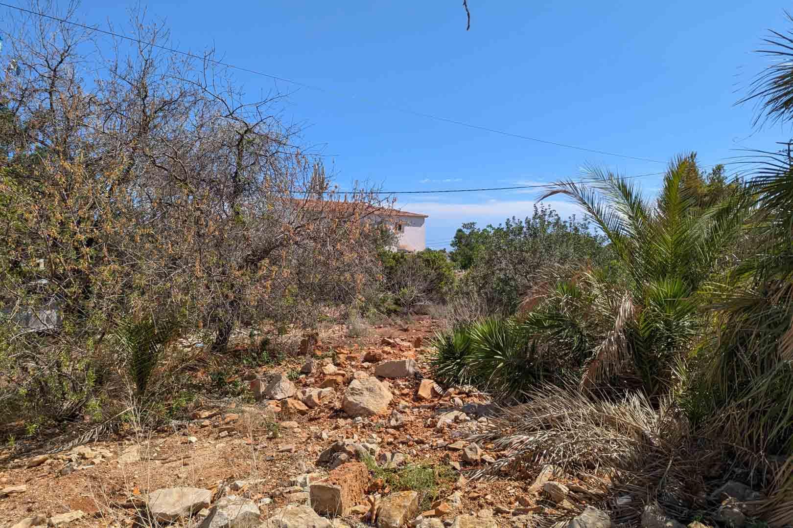 Land in Denia — image 3