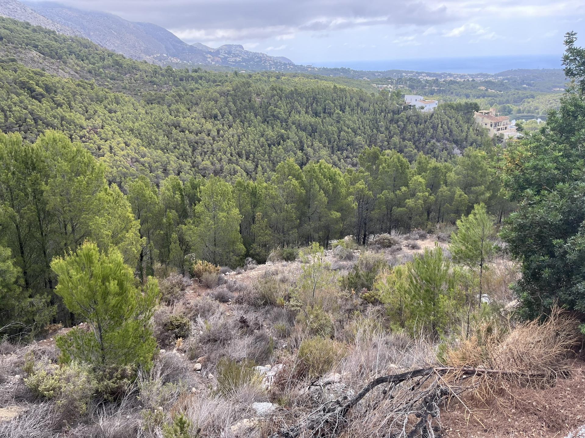Land in Altea — image 2
