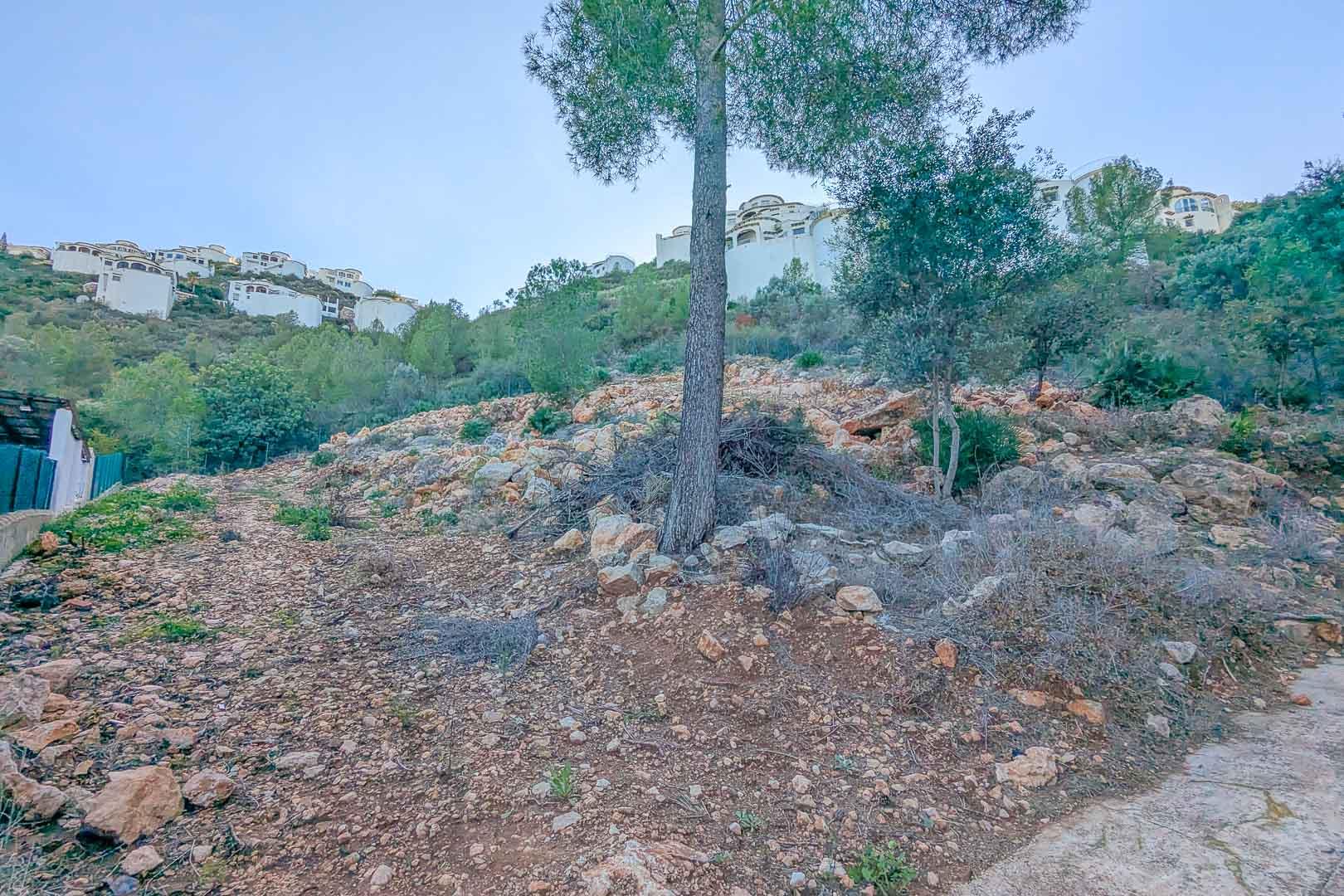 Land in Pego — image 2