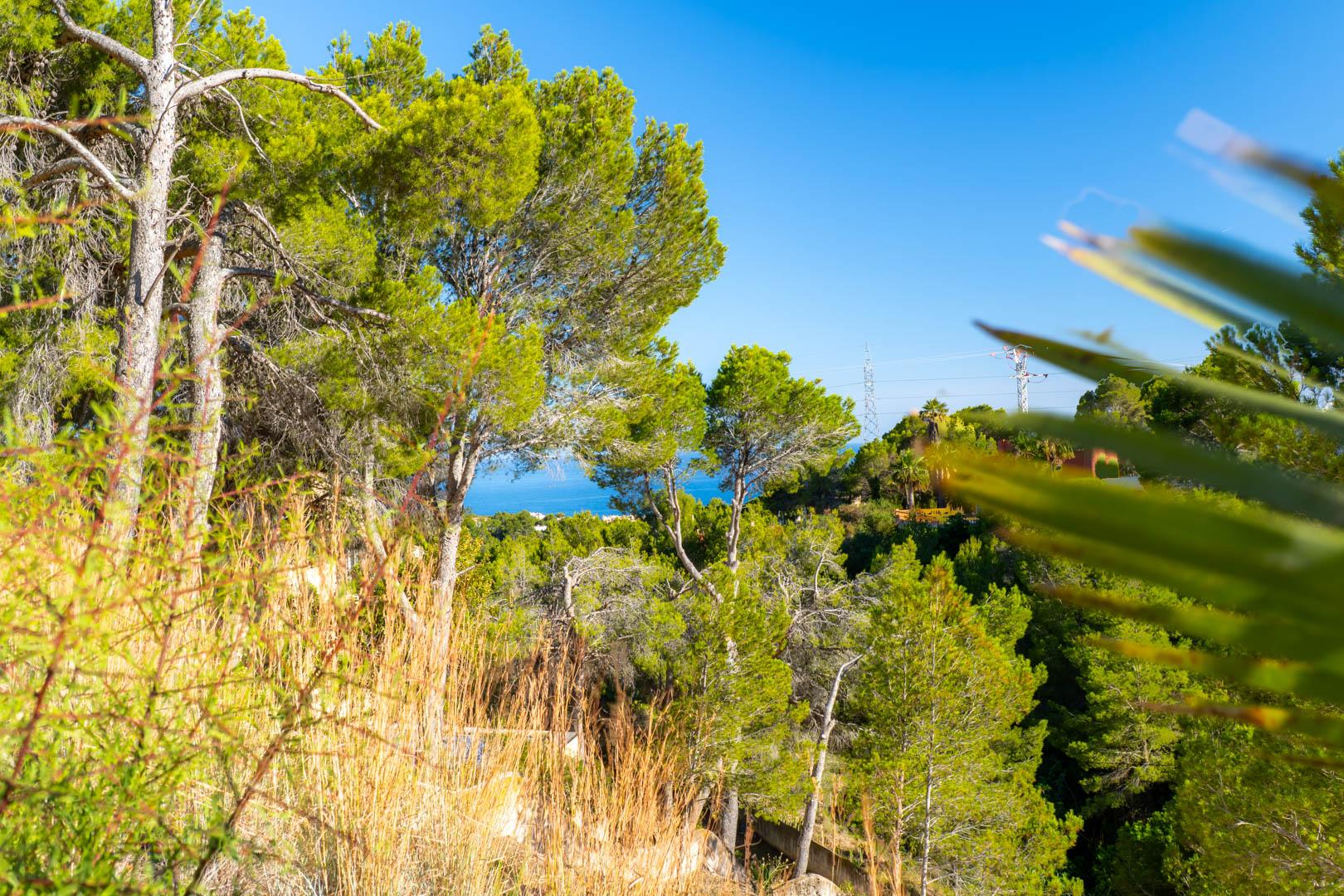 Land in Altea — image 2