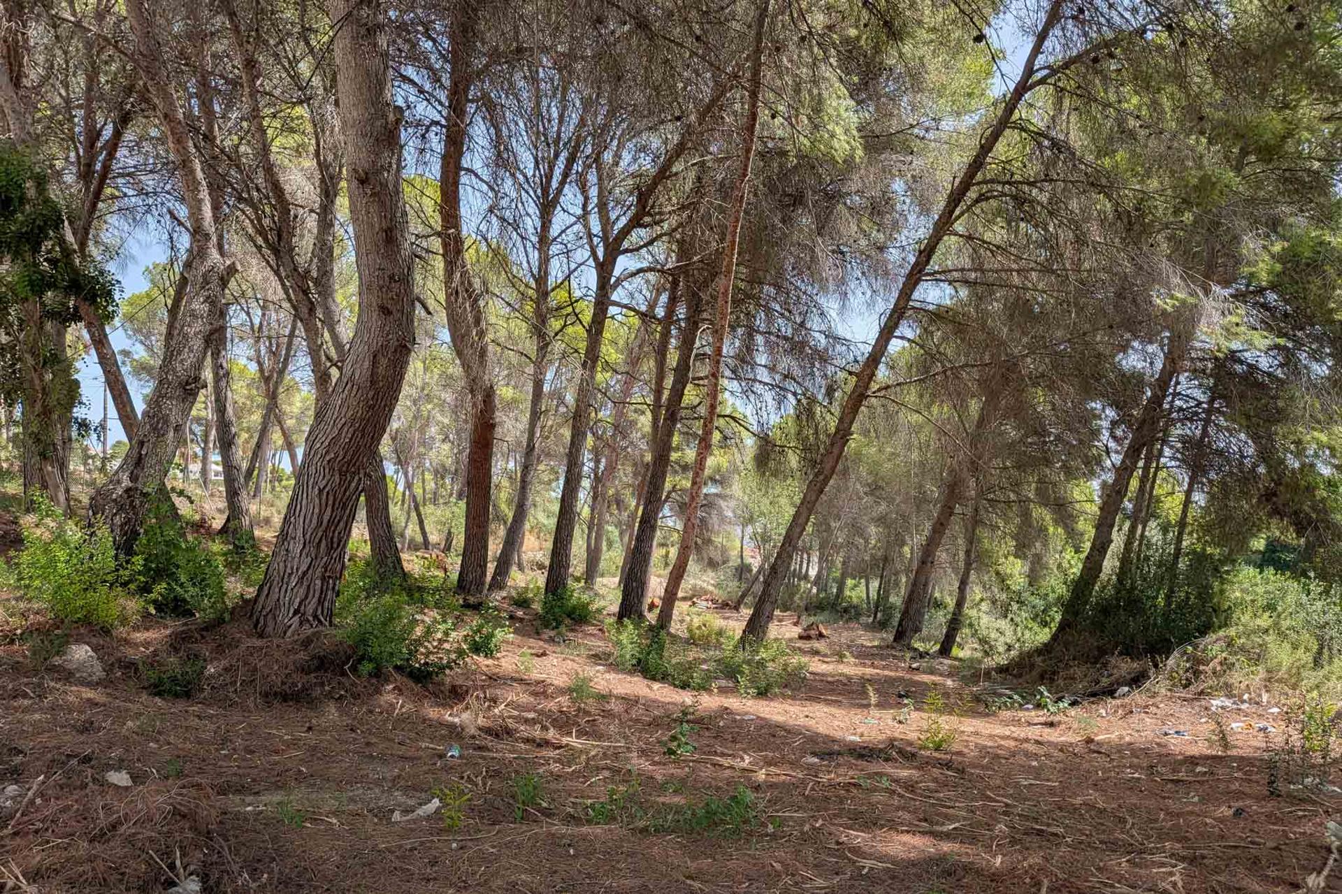 Land in Moraira — image 1