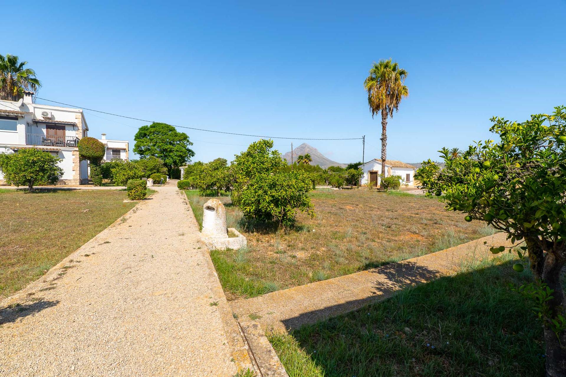 HH-BG-2085030 — image 3