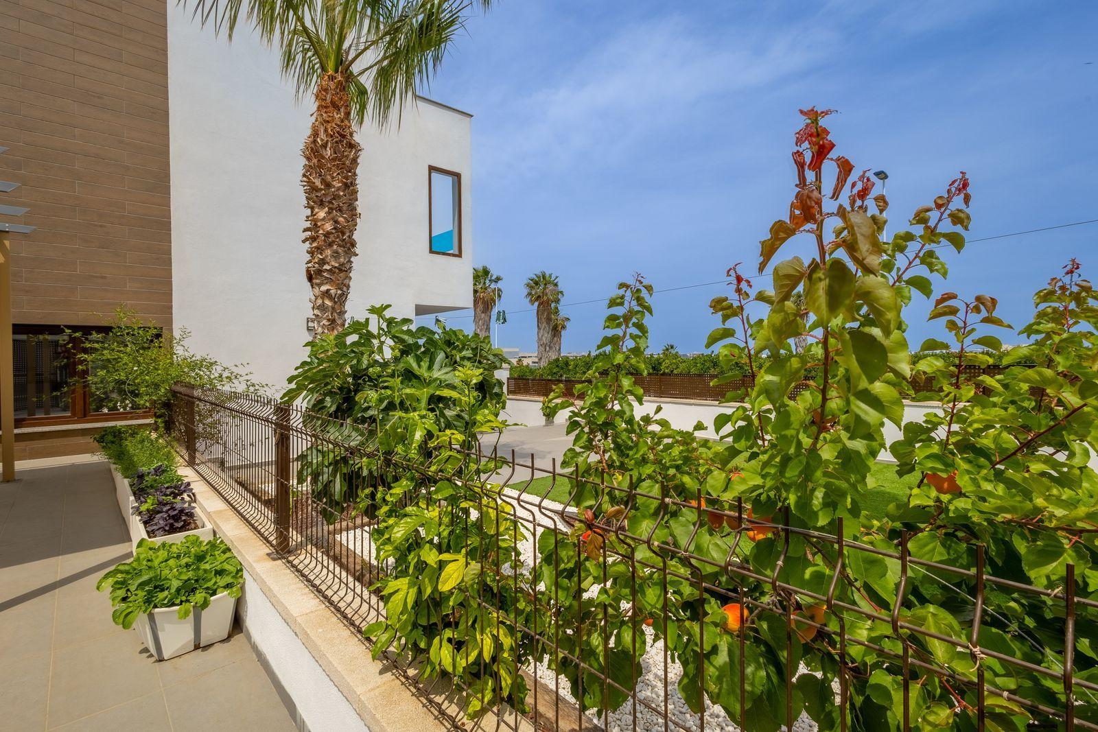 House in Torrevieja - La siesta — image 5