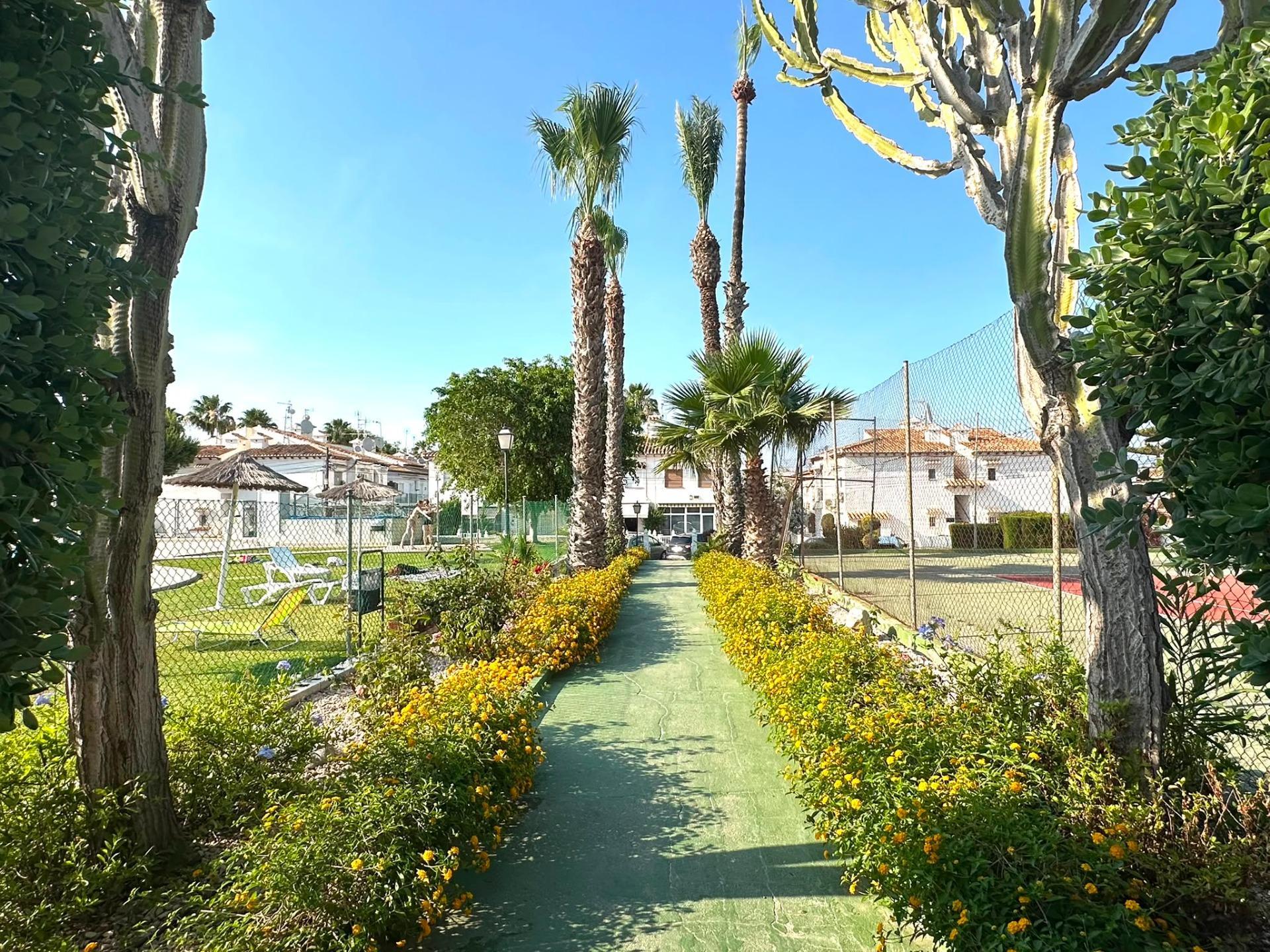 Apartment in Torrevieja — image 2