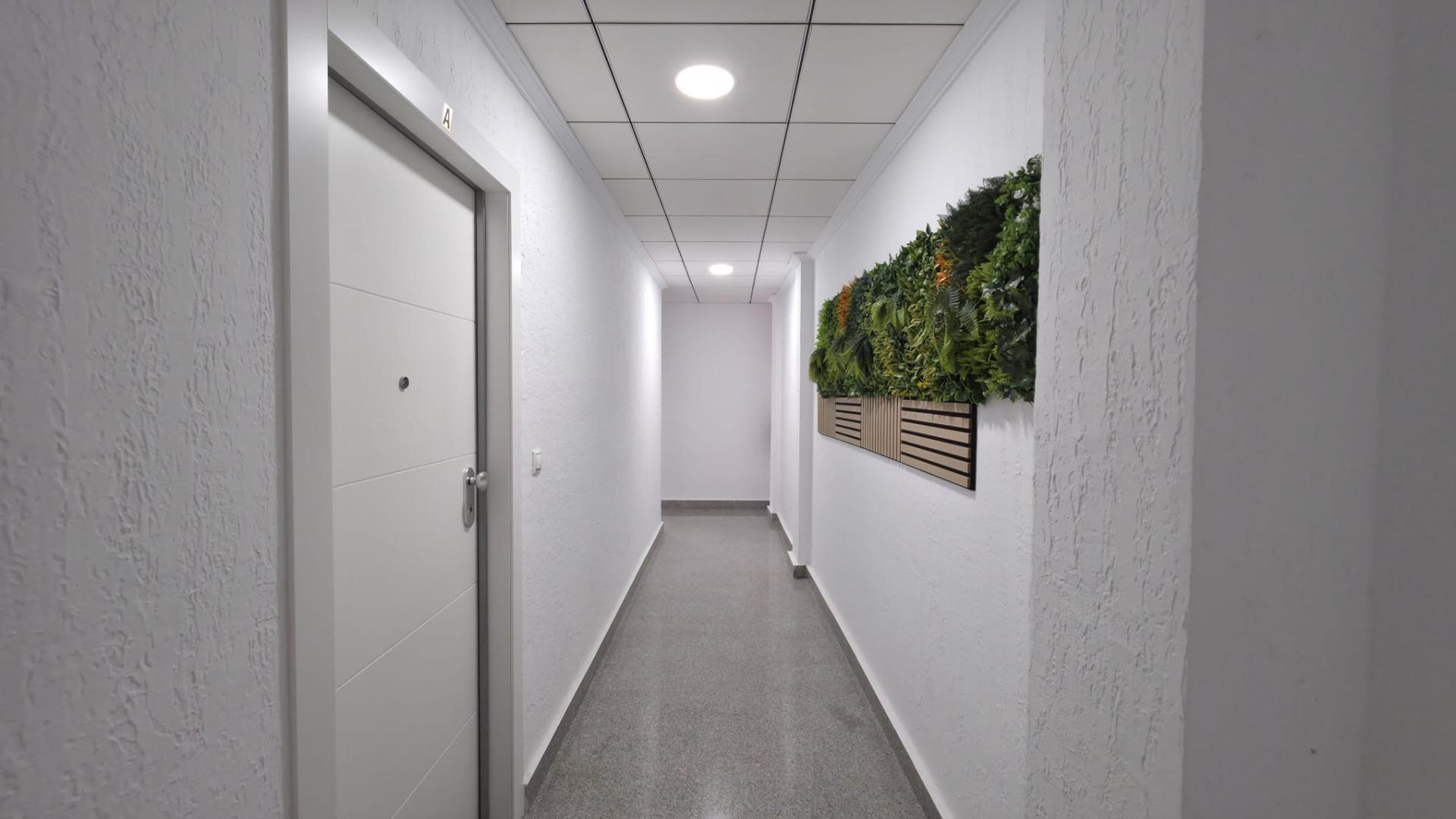 Apartment in Torrevieja — image 4