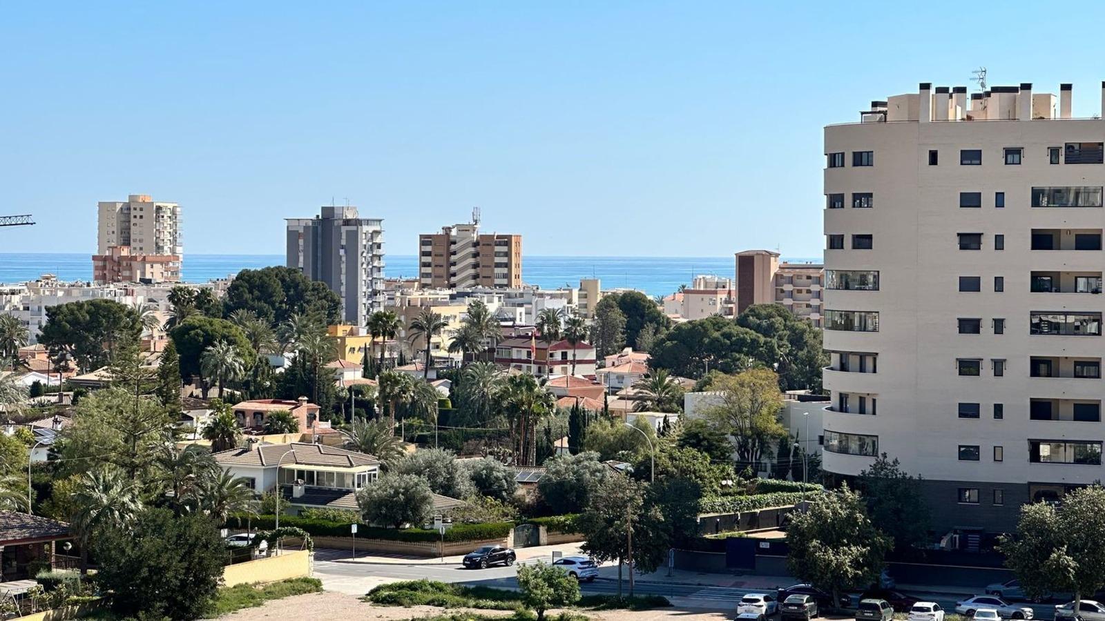 Apartment in Alicante — image 7