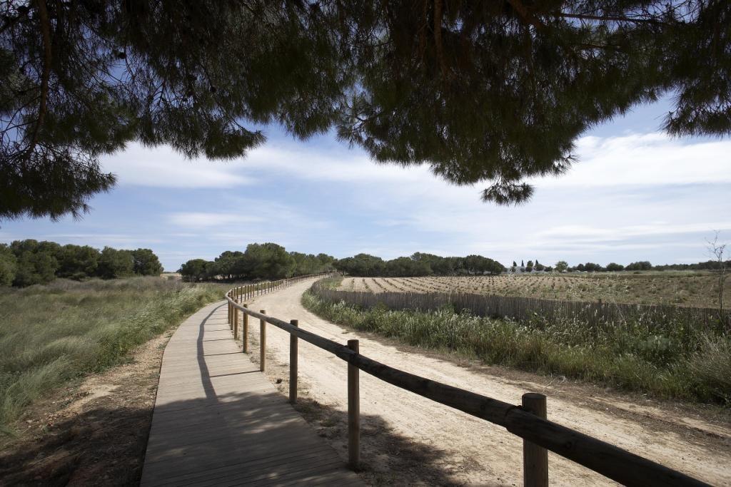 Townhouse in Torrevieja (Torrejon) — image 6