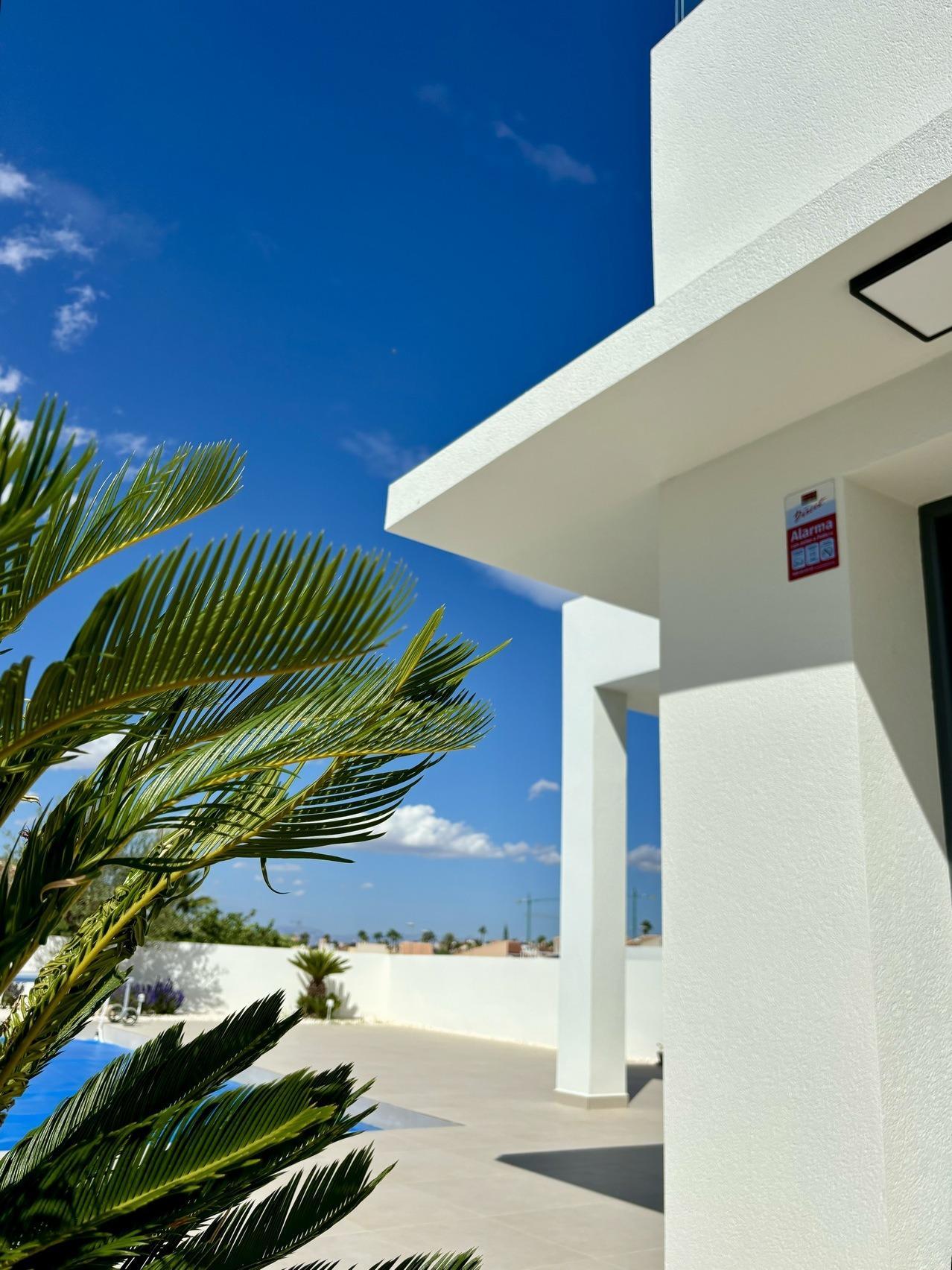 Villa in Benijofar (Benijofar) — image 5