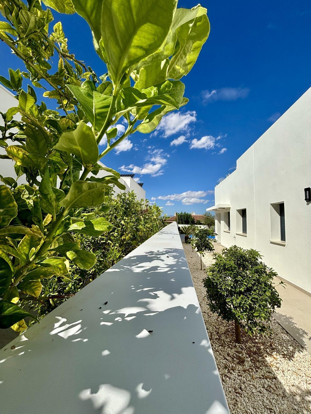 Villa in Benijofar (Benijofar) — image 6