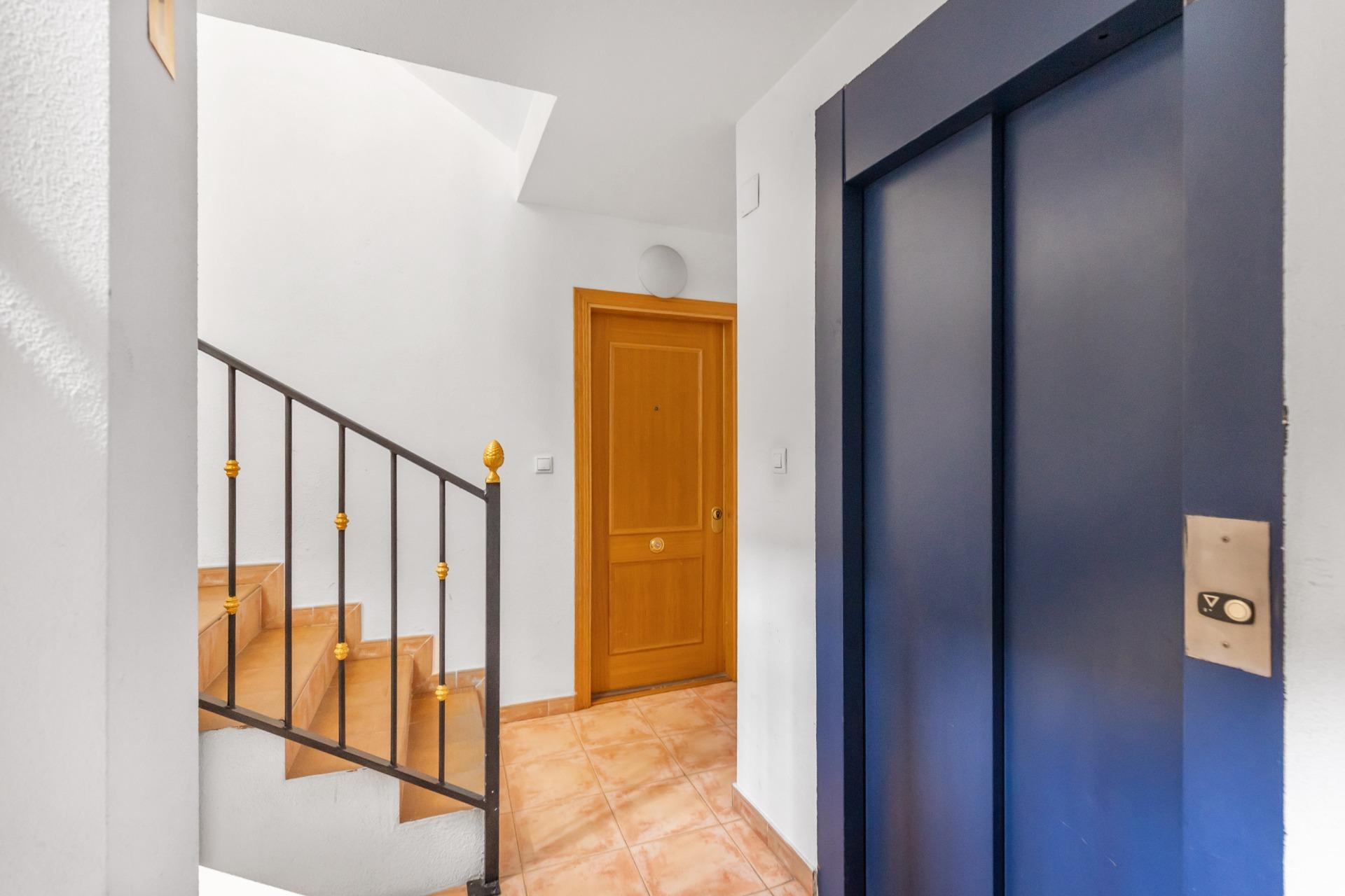 Apartment in Torrevieja (Torrevieja) — image 2