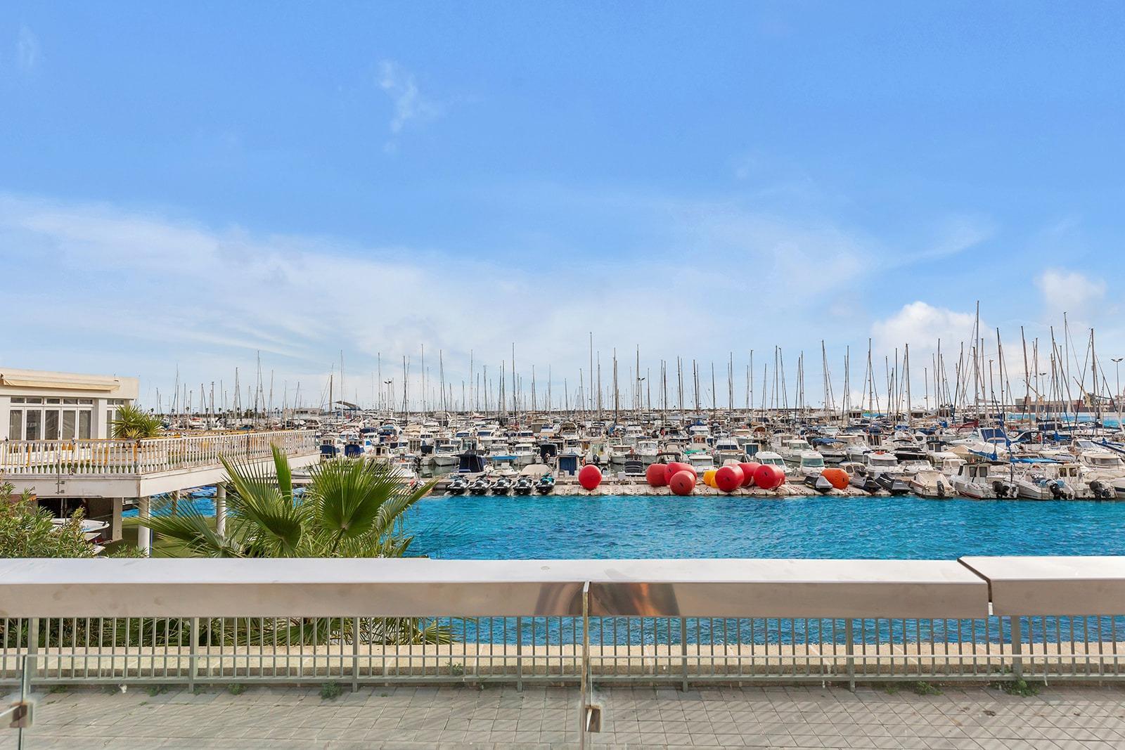 Apartment in Torrevieja (Paseo Maritimo) — image 2