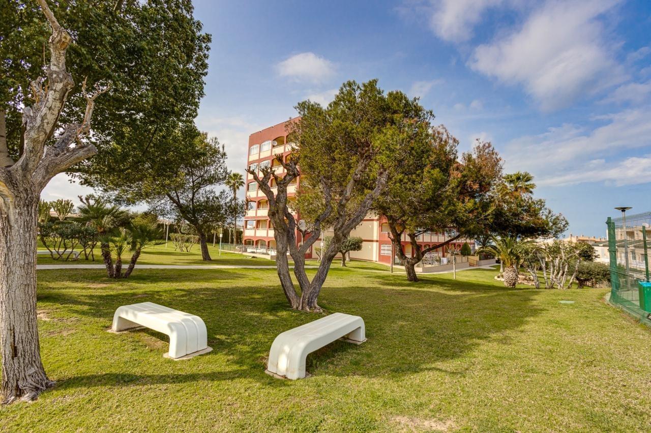 Apartment in Torrevieja — image 4