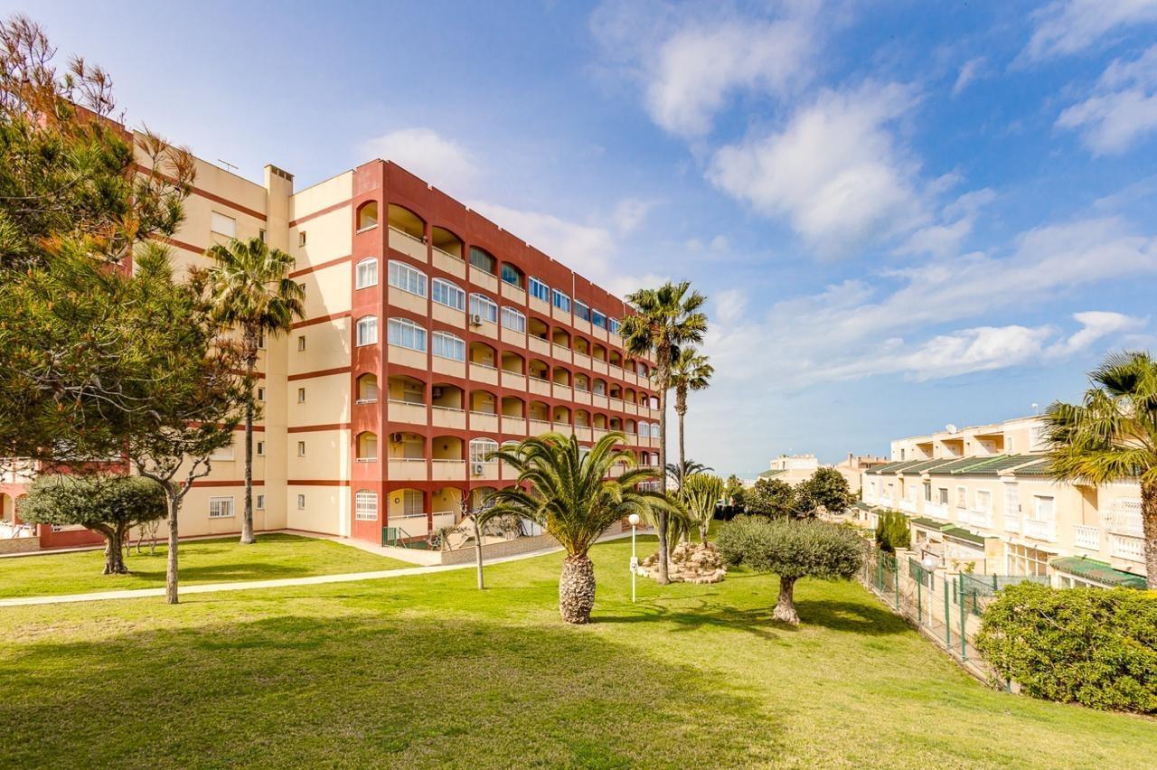 Apartment in Torrevieja — image 5