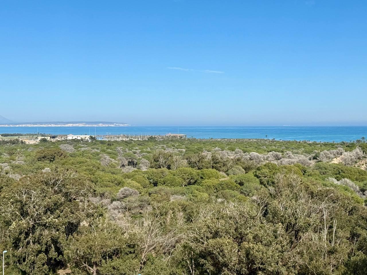 Apartment in Torrevieja — image 7