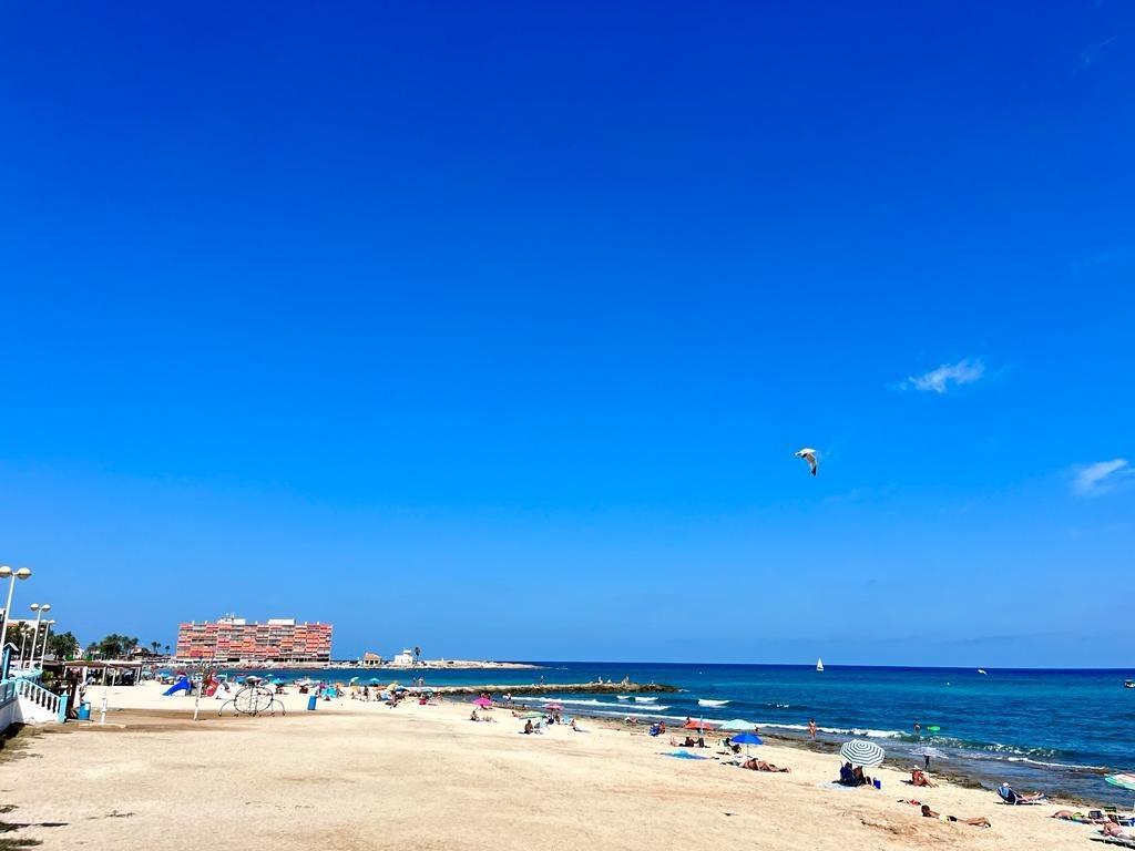 Apartment in Torrevieja — image 4