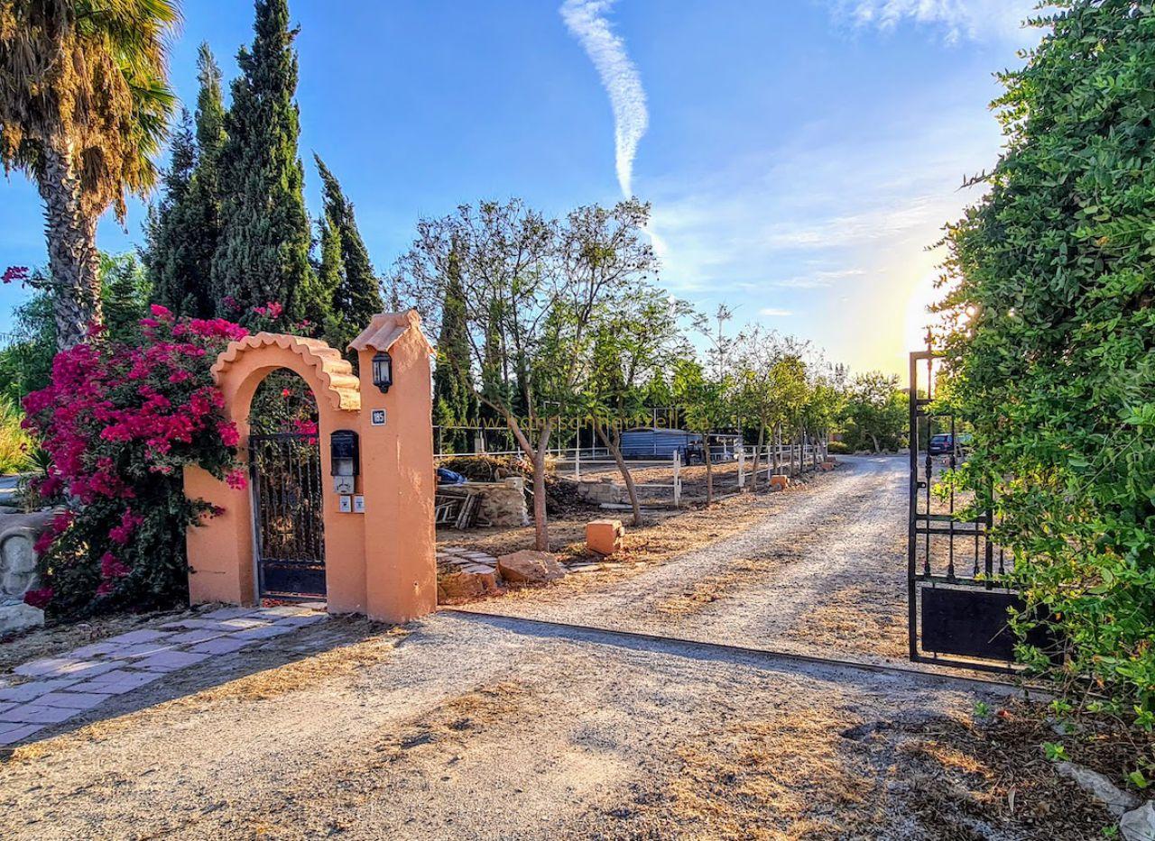 Country Estate Catral – 8 Beds, Stables, Pool | Hansson & Hertzell — image 2
