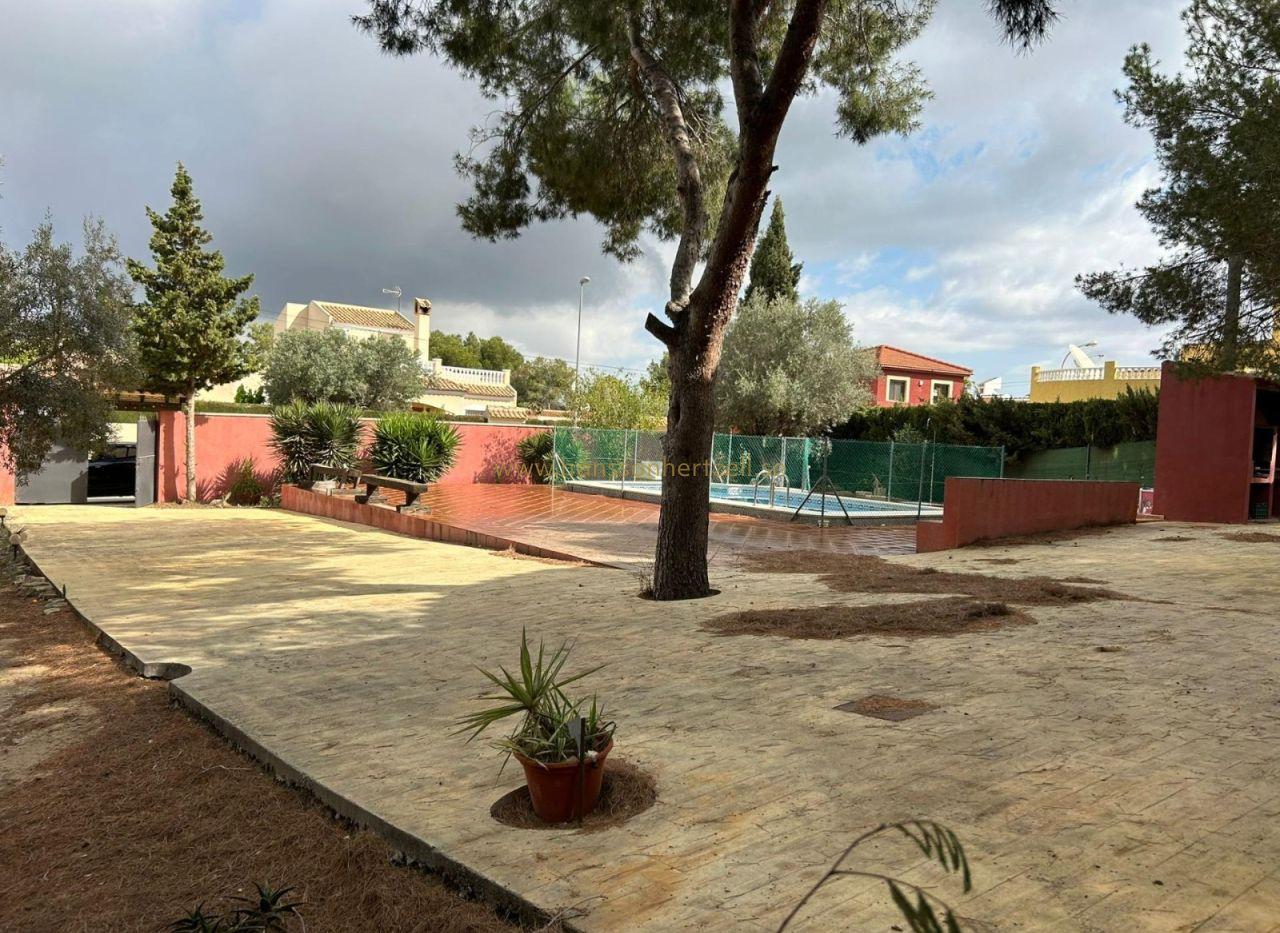 Villa in San Miguel de Salinas — image 3
