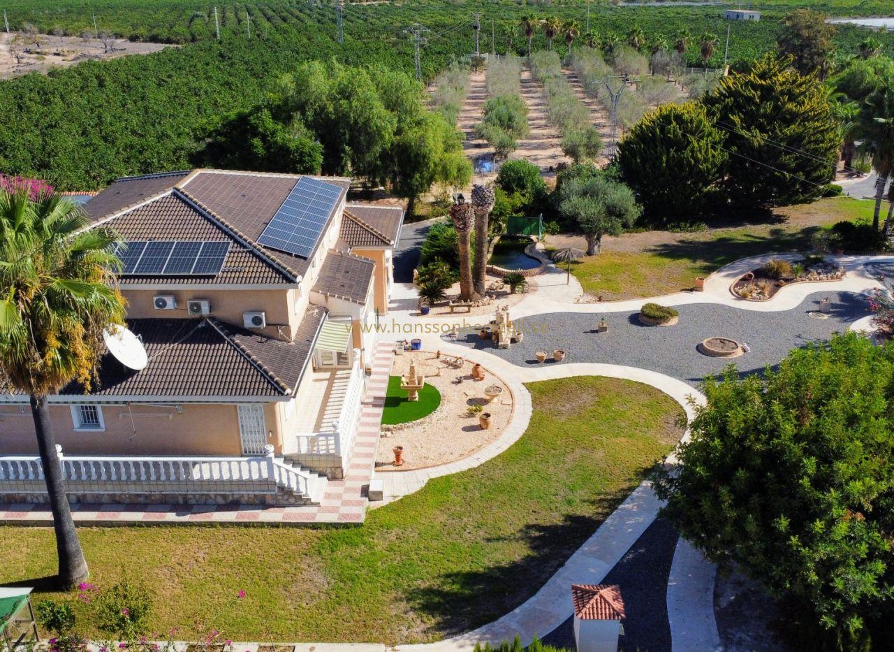 Country house in San M, San Miguel De Salinas — image 2