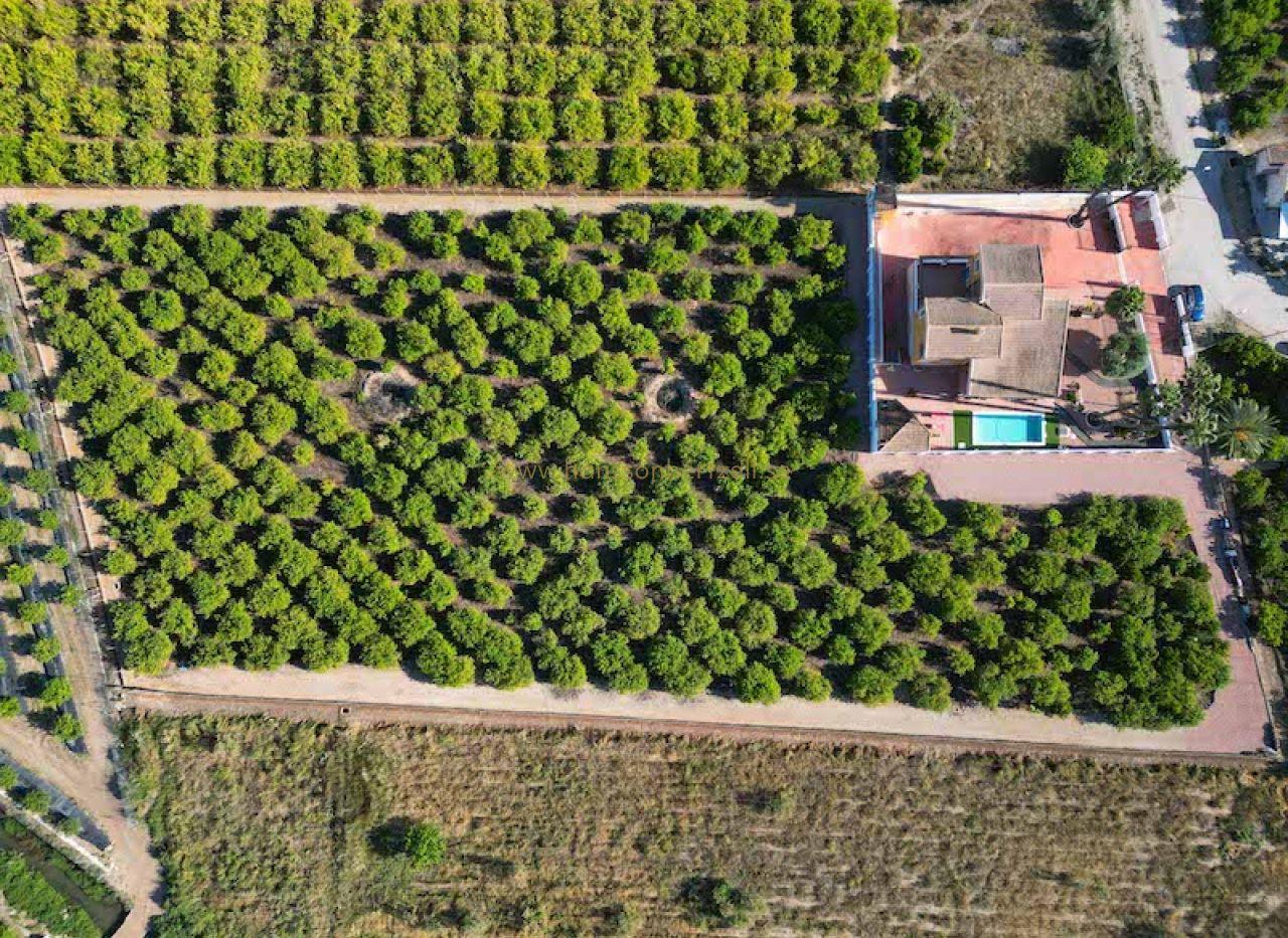 Country Villa with Pool in Orihuela | 5 Bed | €675,000 — image 3