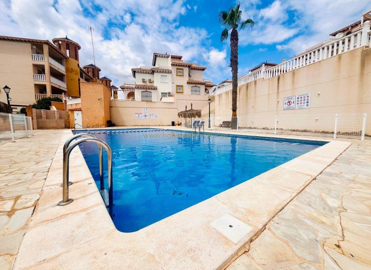 Bungalow in Lomas de Cabo Roig | Terrace & Pool — image 2