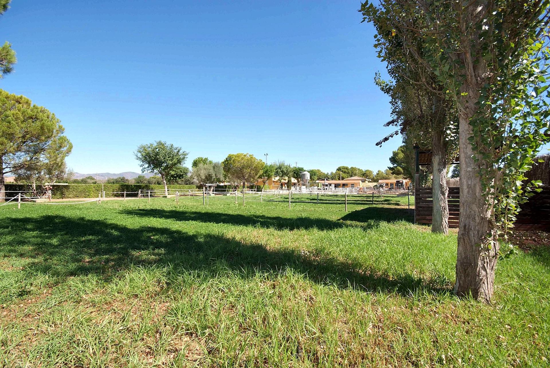 Equestrian Finca with Pool, Stables and Riding Arenas on 17,597 m² in Bétera, Valencia — image 3