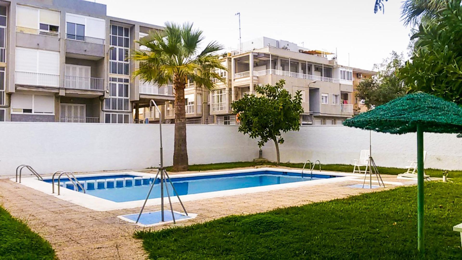 Apartment in Torrevieja — image 1