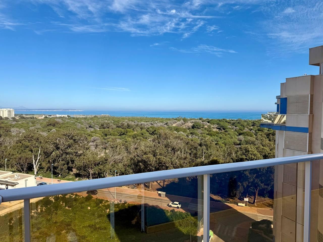 Apartment in Torrevieja — image 1