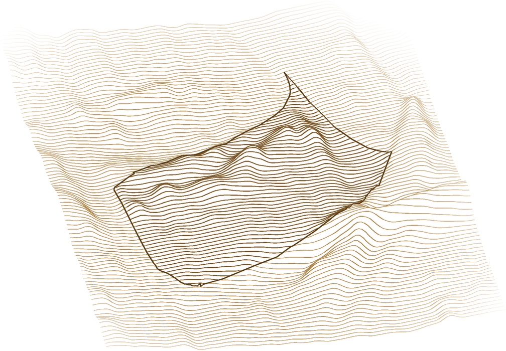3D terrain scan of the plot from 5-metre LiDAR