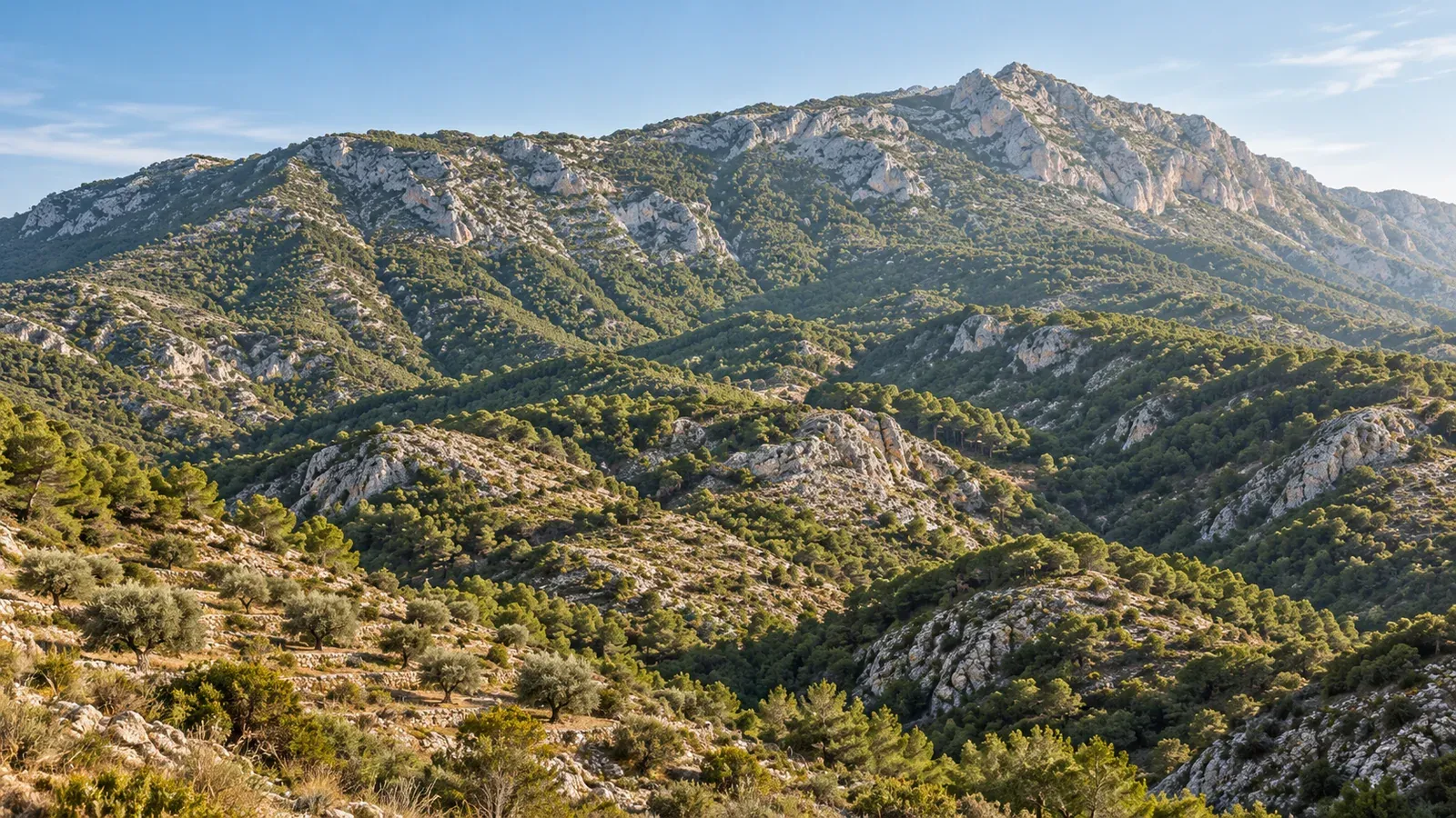 Sierras calizas cubiertas de pinos sobre un valle de montaña, el paisaje de la Vall de Pop. Ilustración conceptual.